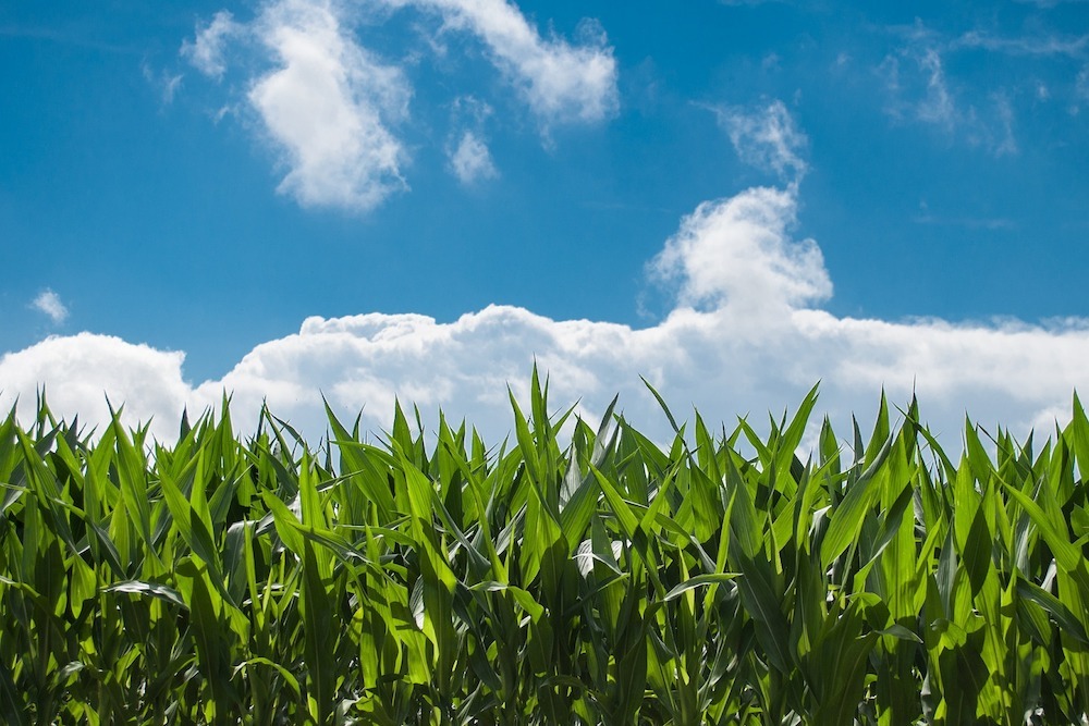 Pottstown FARM on May 14