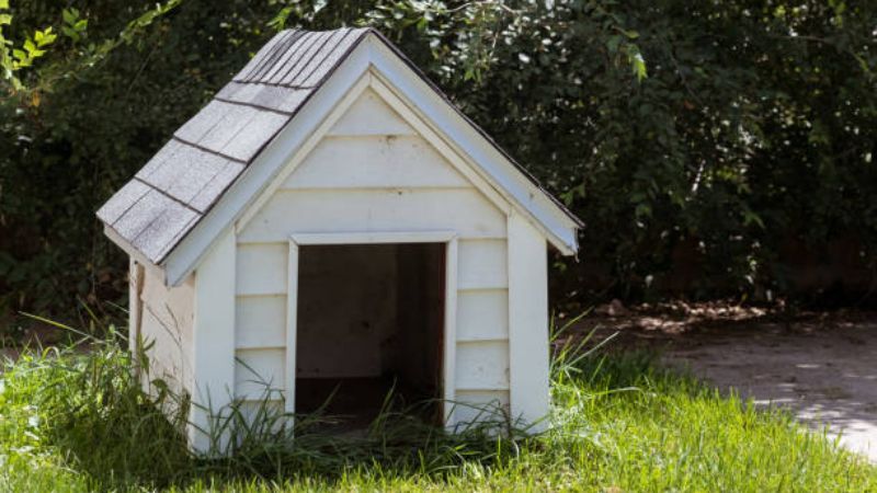 Valencia County announces Send me a text if you were on a list to receive a dog house through the Valencia County Animal Shelter