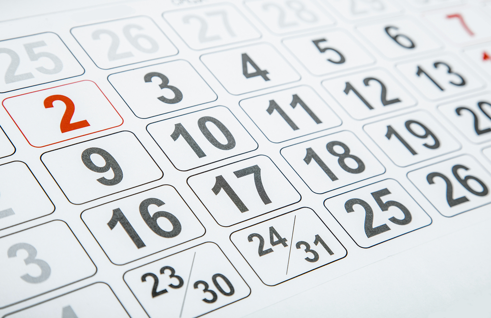 Town of Plains Government: Opening Date Is Set