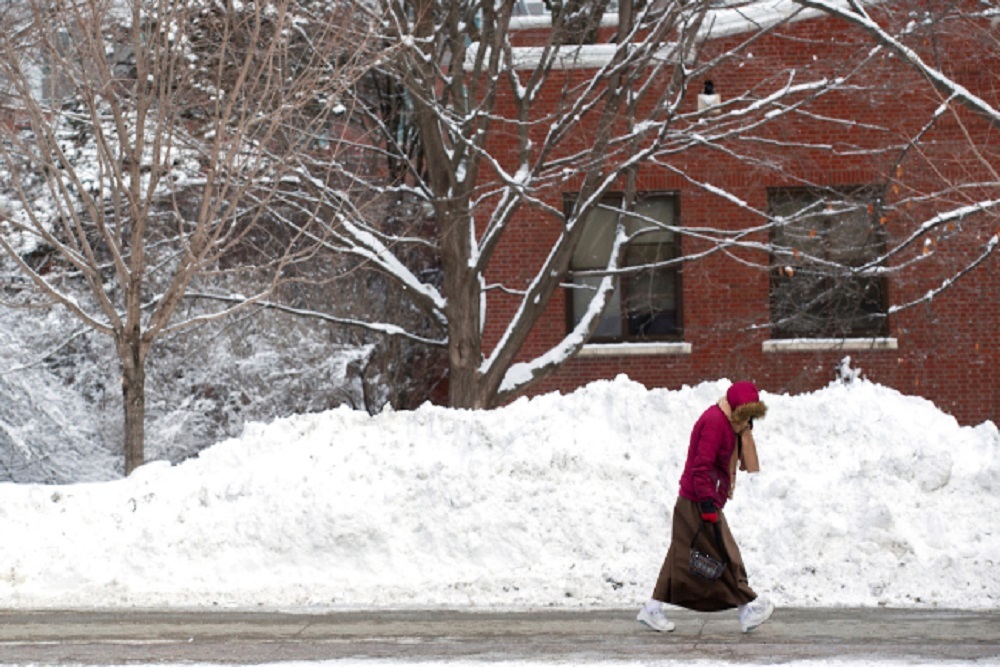 January temperatures linked to immigrant entrepreneurship January temperatures linked to immigrant entrepreneurship