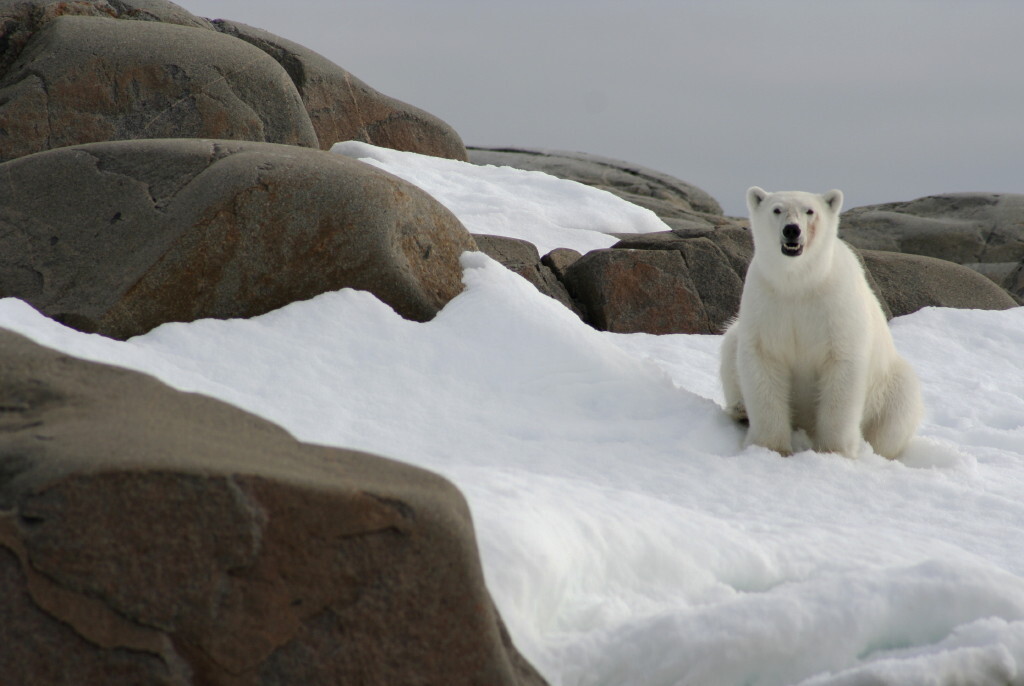 38th Annual Lake Waramaug Polar Bear Run