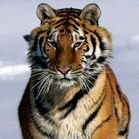 East Helena School District: High School Equivalency Test