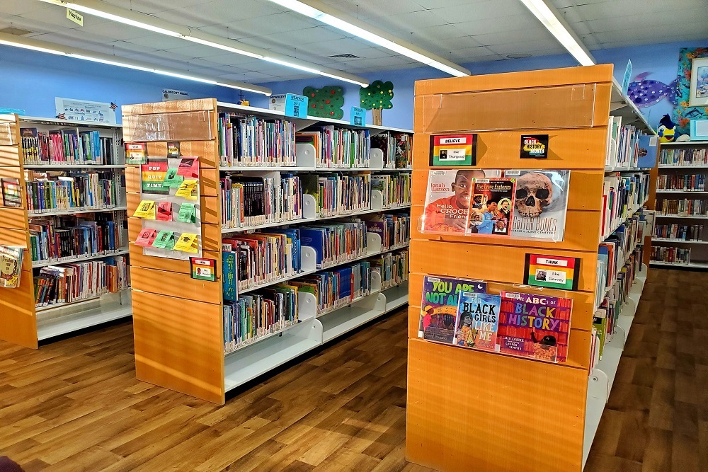 Summer Library Program Begins June 13