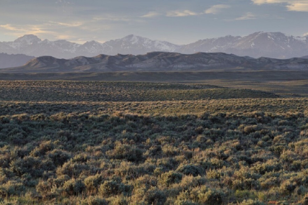 Sagebrush Spectacular 1st Annual Prep Tournament to be held June 10 Sagebrush Spectacular 1st Annual Prep Tournament to be held June 10