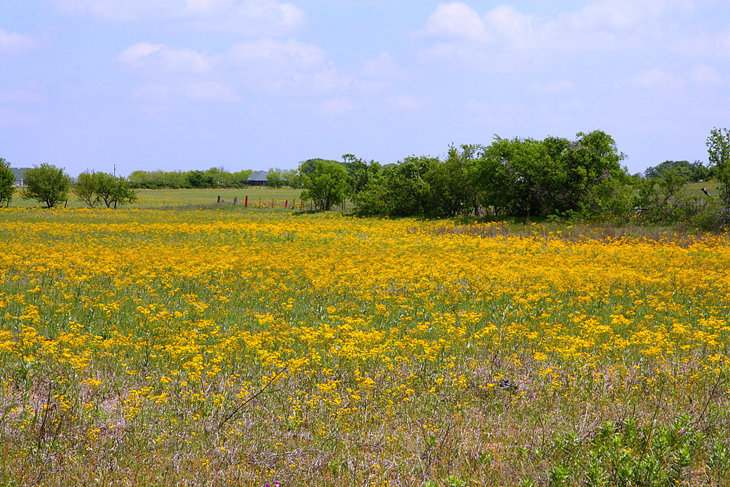 Parkers Wildflower, LLC Ribbon Cutting