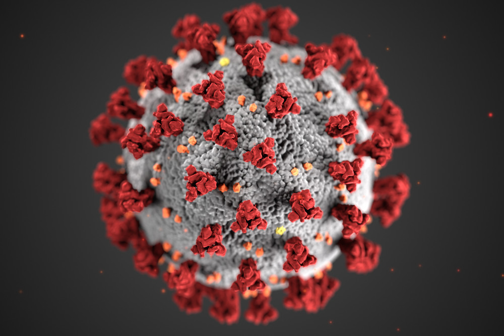 This CDC illustration shows ultrastructural morphology exhibited by coronaviruses. Note the spikes that adorn the outer surface of the virus, which impart the look of a corona surrounding the virion, when viewed electron microscopically. - Alissa Eckert and Dan Higgins/CDC