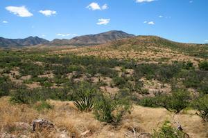 Arizona receives ‘C’ grade in overall fiscal health, 19th overall in U.S.