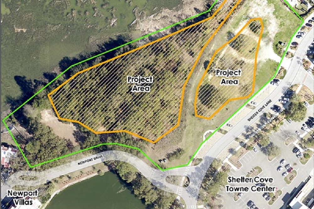 Tree Maintenance and Site Cleaning Work for Town Property Near Shelter Cove Community Park to Start Week of June 1