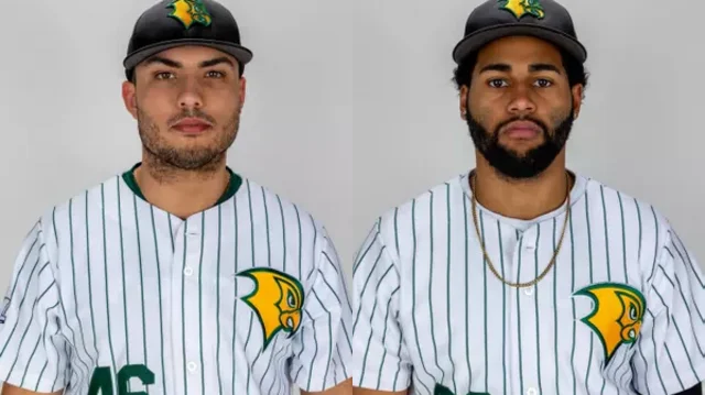 The matchups are set for the 2025 season for the Felician Golden Falcons Men’s Baseball team The matchups are set for the 2025 season for the Felician Golden Falcons Men’s Baseball team