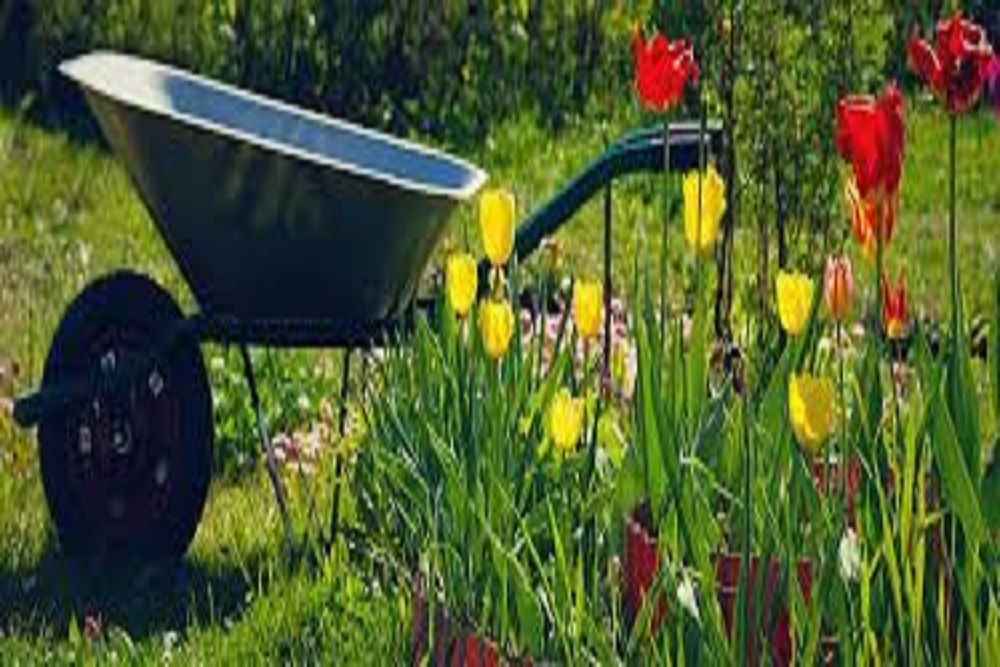 TOWN OF PRINCETON: Spring Clean Up Week is April 4th-8th TOWN OF PRINCETON: Spring Clean Up Week is April 4th-8th