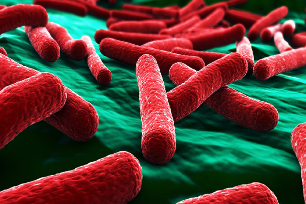 Public Health issues warning for Vancouver Lake swim beach due to E. coli bacteria