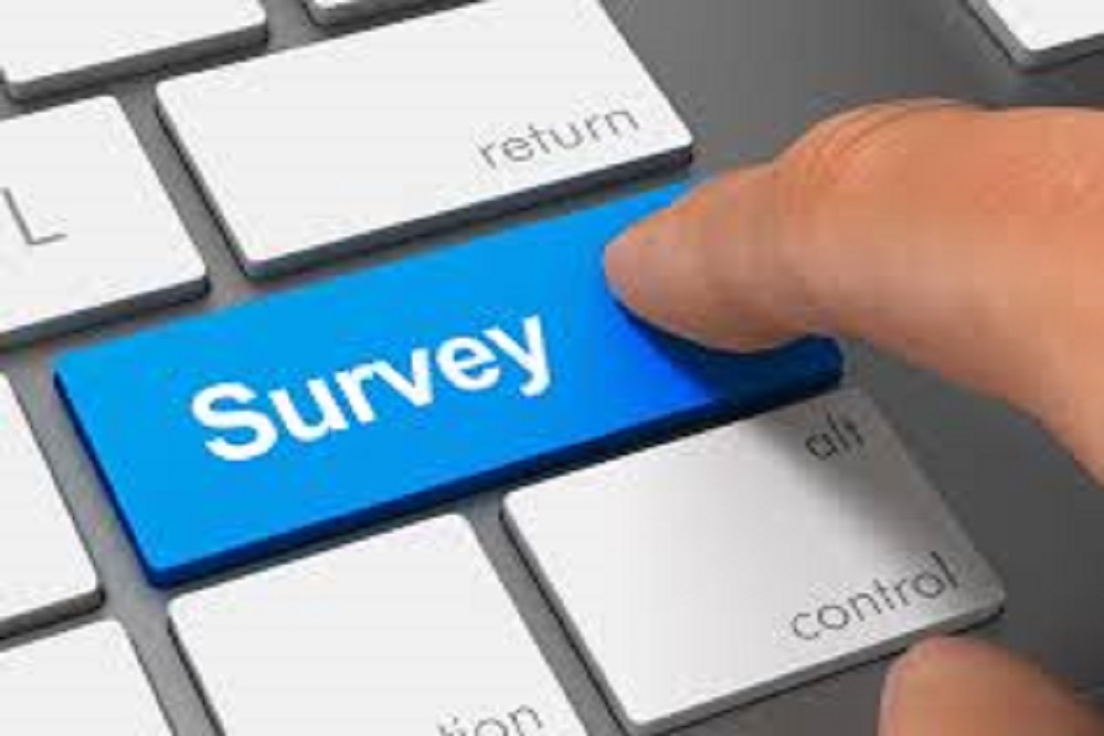 COUNTY OF DUPLIN: Survey About Internet Service COUNTY OF DUPLIN: Survey About Internet Service