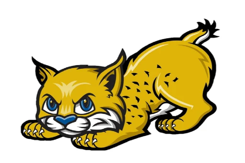 Attn: Graduating Bobcats