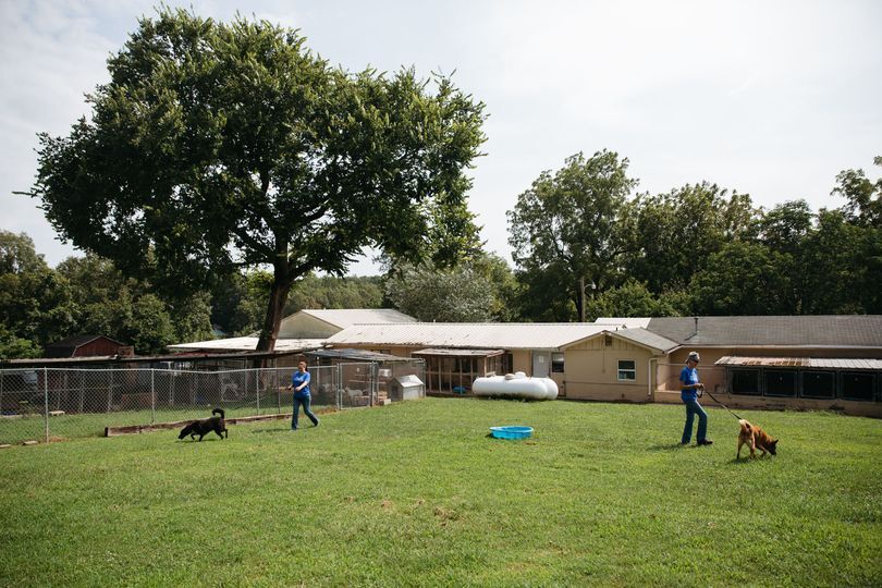 Ozark Humane Society is Hiring