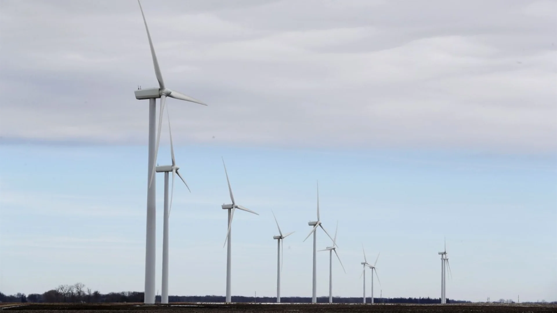 Steve Cortes critiques wind turbines’ environmental impact and reliability