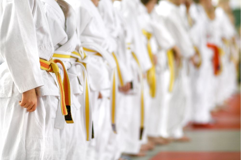 Karate on December 29, 2022