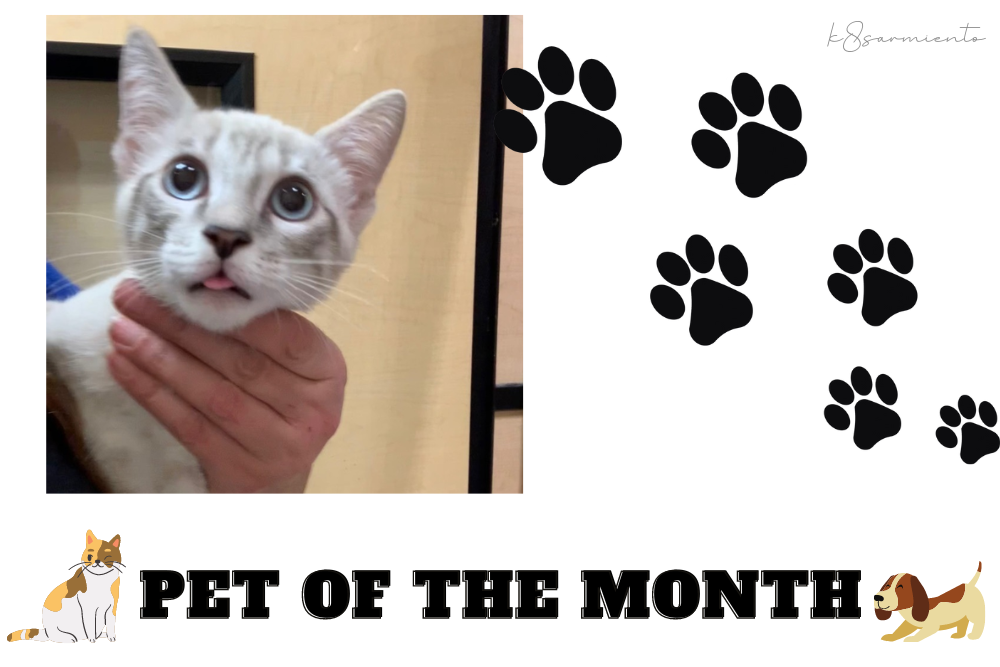 Pet of the Month: Grayson Pet of the Month: Grayson