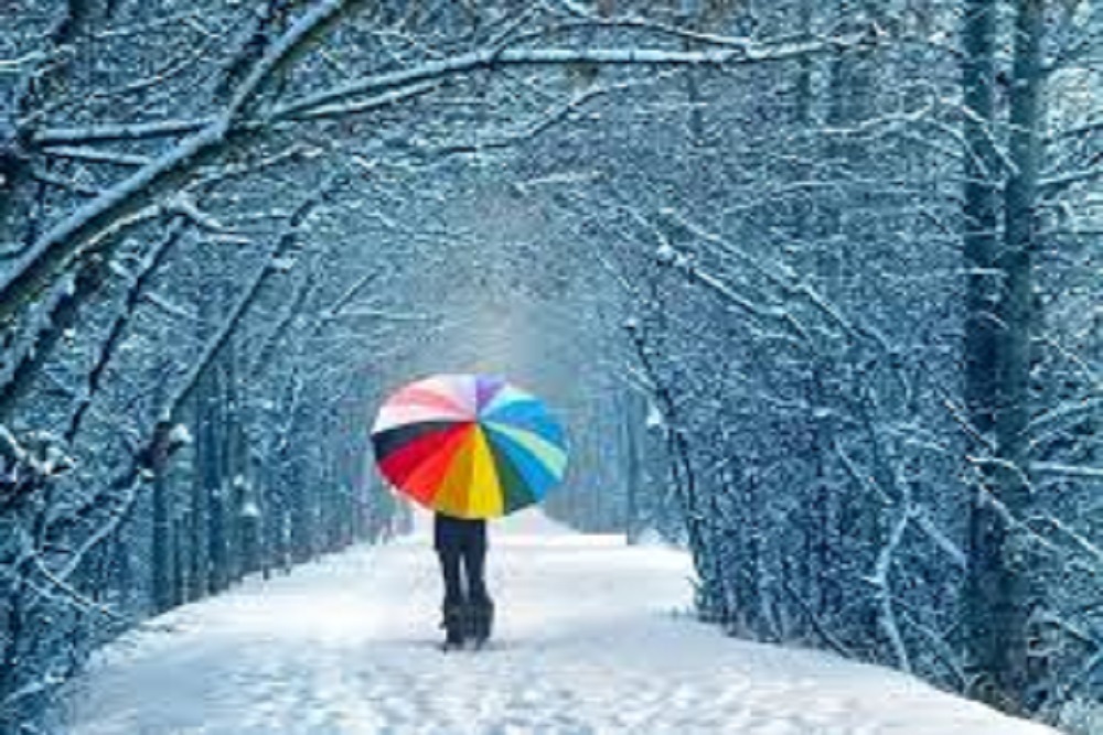 ROANOKE RAPIDS POLICE DEPARTMENT: Snow Storm Reminder ROANOKE RAPIDS POLICE DEPARTMENT: Snow Storm Reminder