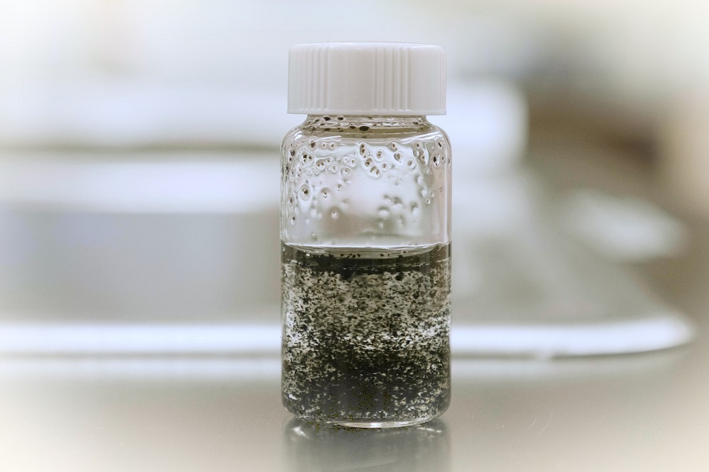 Tiny tire particles inhibit growth of organisms in freshwater, coastal estuaries, studies find