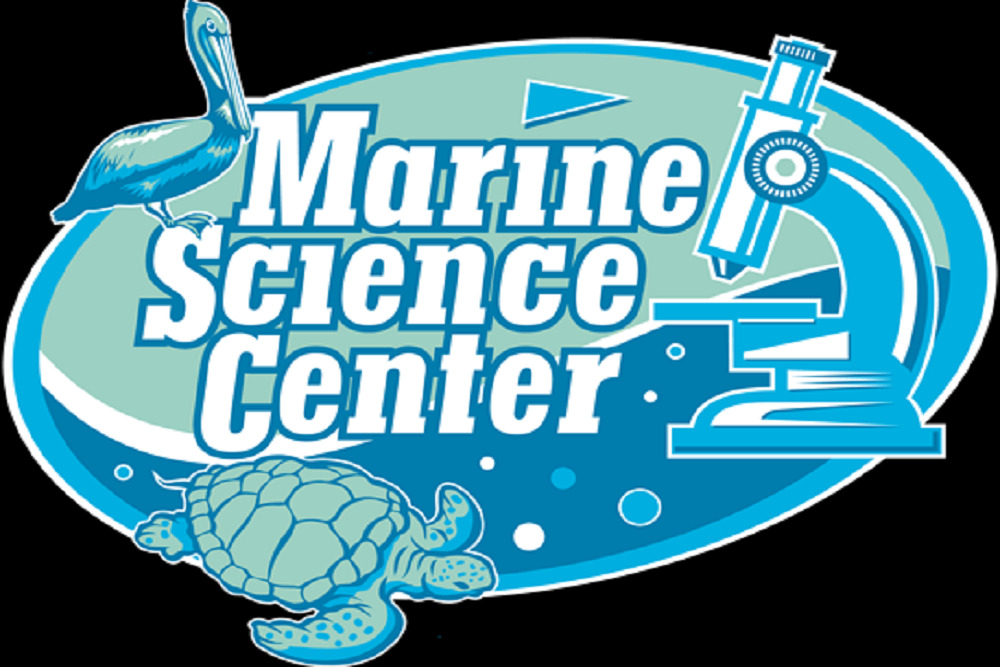 Marine Science Center hosts Turtle Day April 9