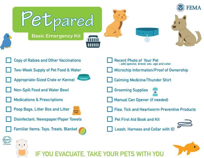 PETpared Basic Emergency Kit