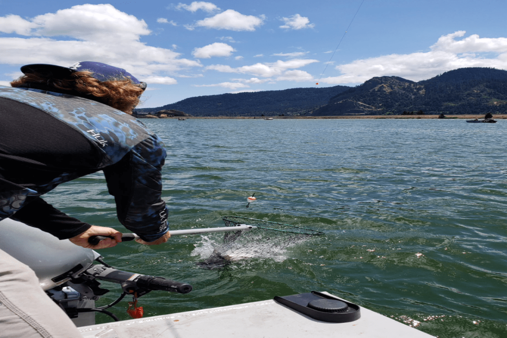 Drano Lake fisheries return to permanent rule