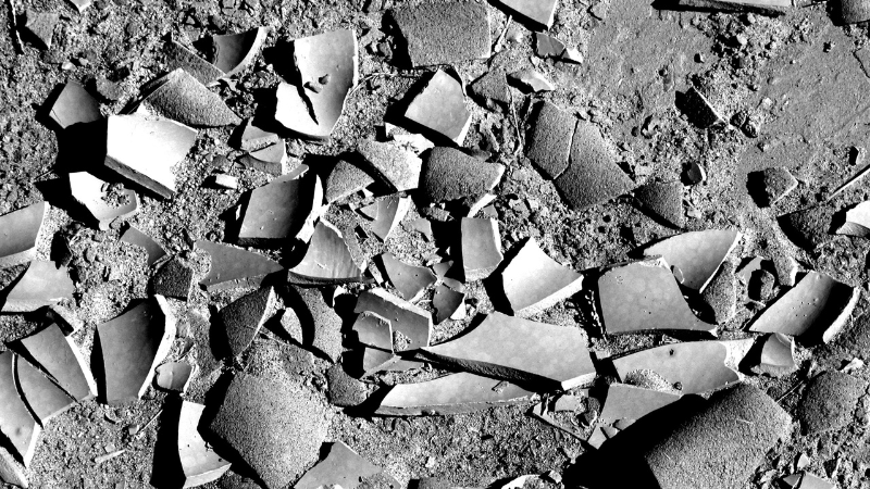 City of Clermont Debris Removal Guidelines