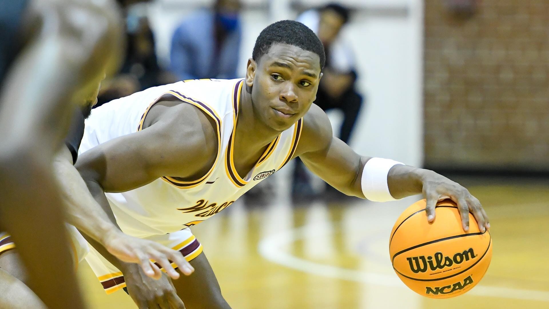 Wildcats Fall at Home to UAPB, 77-71