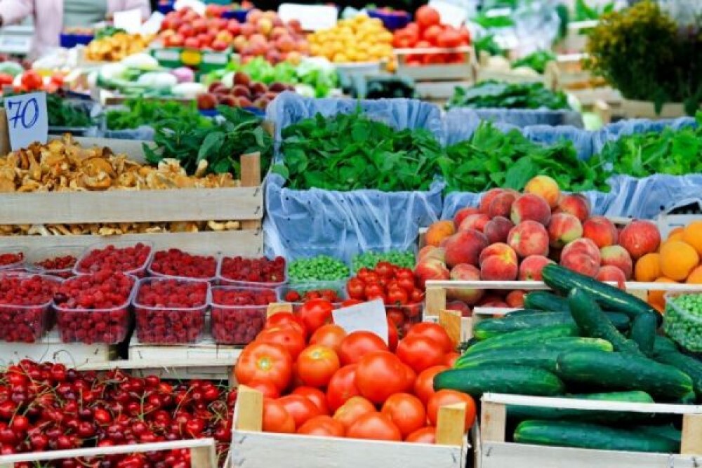 ANNE ARUNDEL COUNTY ECONOMIC DEVELOPMENT CORPORATION: Glen Burnie Farmers Market Will Delay Opening to Spring 2023