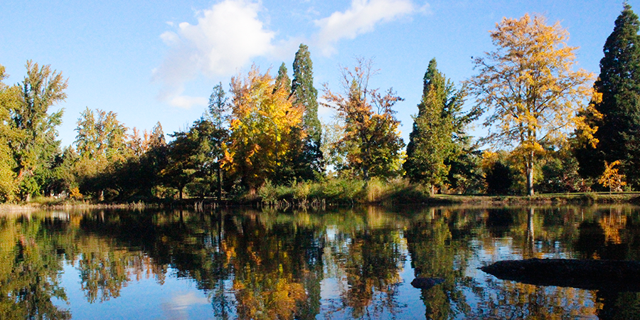 Ward 1 Neighborhood Advisory Board (NAB) Meeting: August 9, 2021