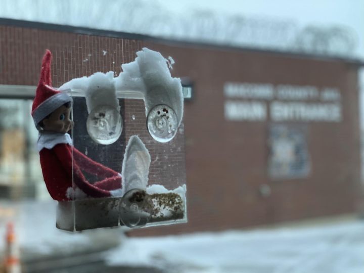Snitch was hanging on to this bird feeder for ”deer”