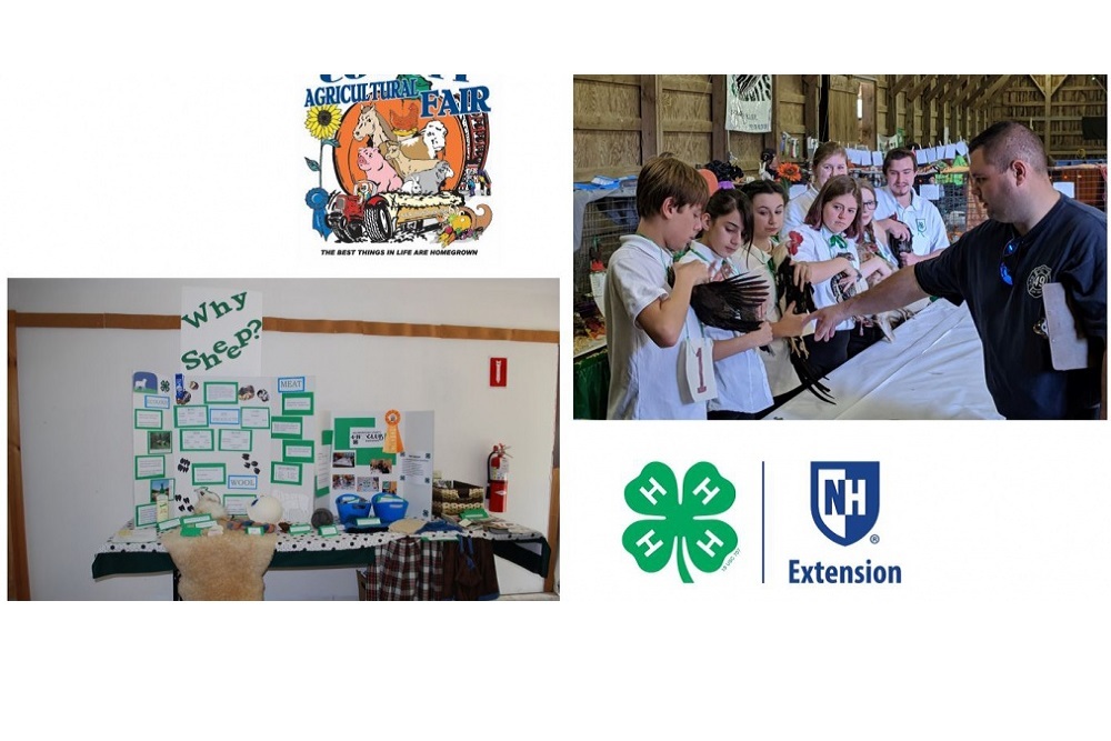 4-H Exhibits at Hillsborough County Agric Fair on September 10th-12th