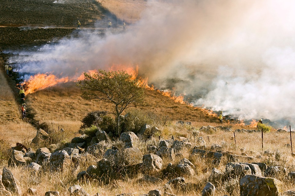Improving wildfire predictions with soil science