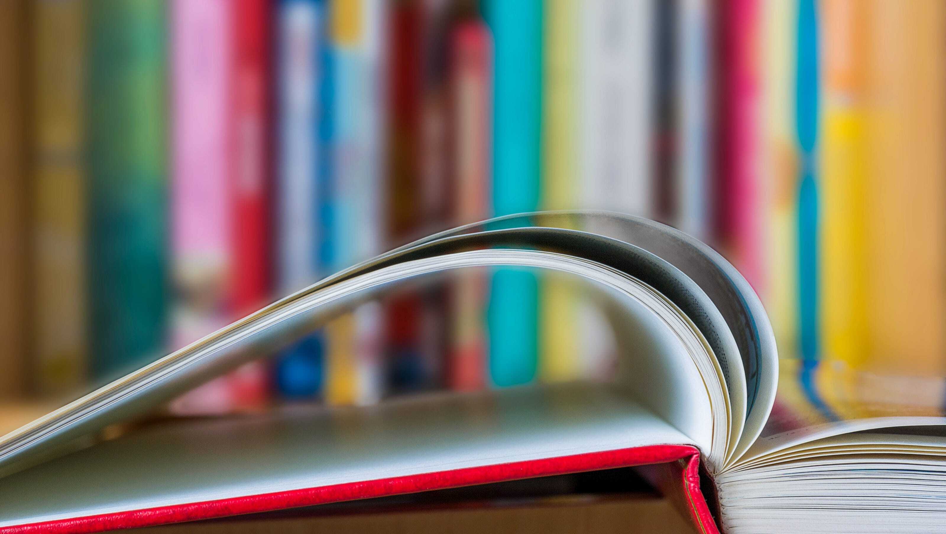 NSB library hosts book sale