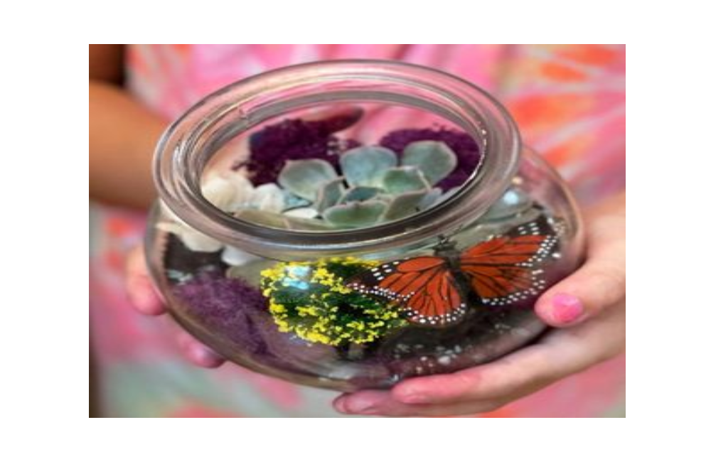 Terrariums with Sacred Rhythms