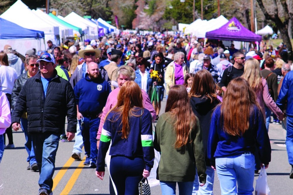 Daffodil Festival Crowds Exceed 25,000 Daffodil Festival Crowds Exceed 25,000
