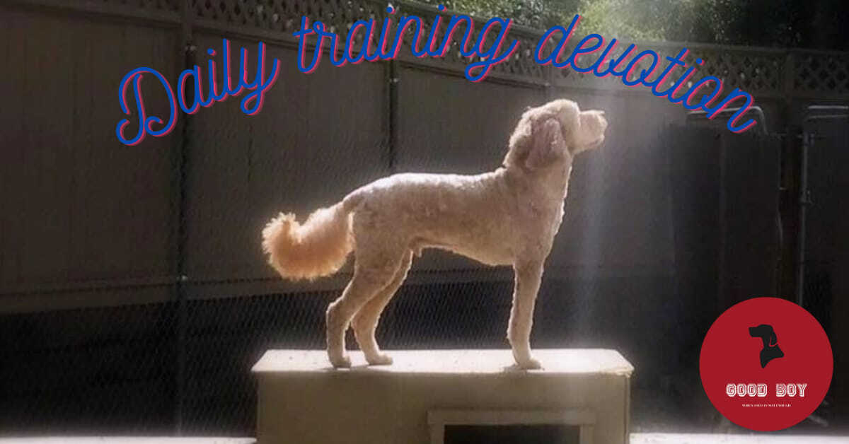 The Tale of Tony and Mirren