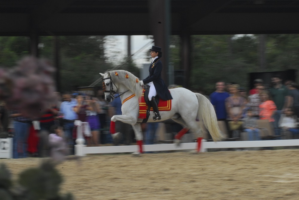 GARRISON FOREST SCHOOL: Throwing it back to last year at World Equestrian Center – Ocala!