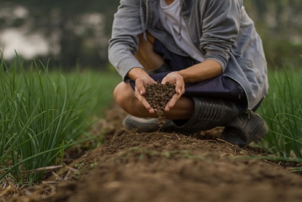 Kit MacDonald, a Soil Scientist with the Team