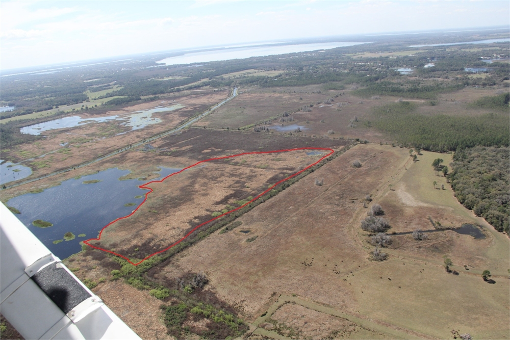 Aerial herbicide treatment to take place at pine meadows conservation area