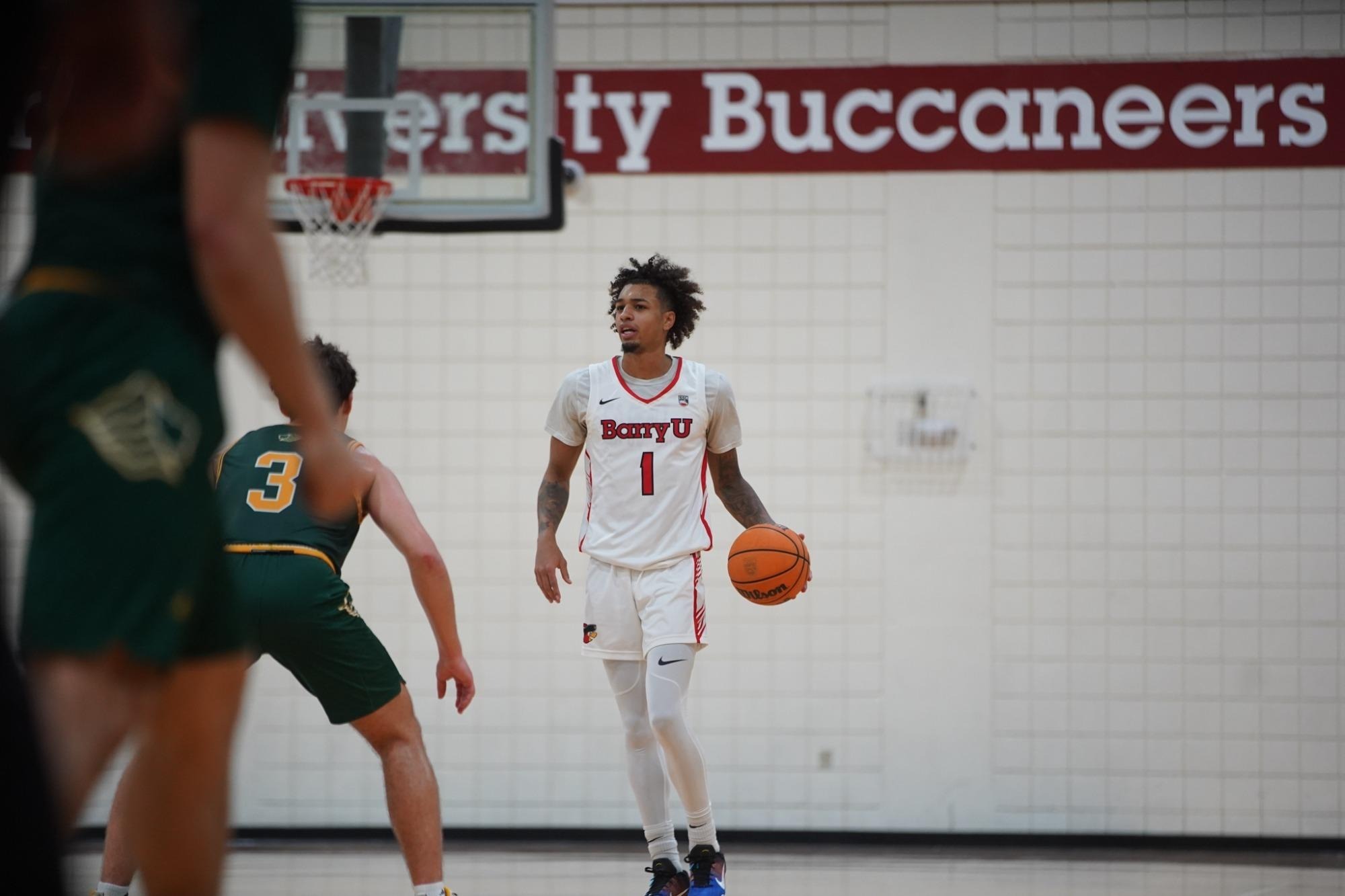 Lions Tame Men’s Basketball