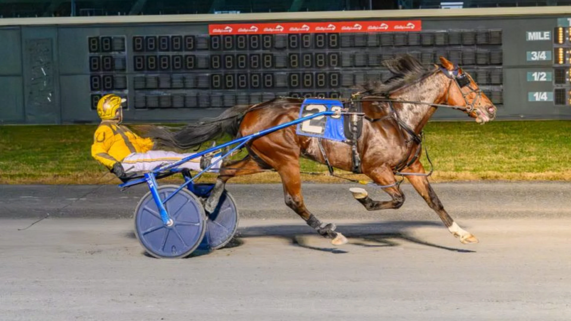 Thiskissformaryell, driven by Jim Morand