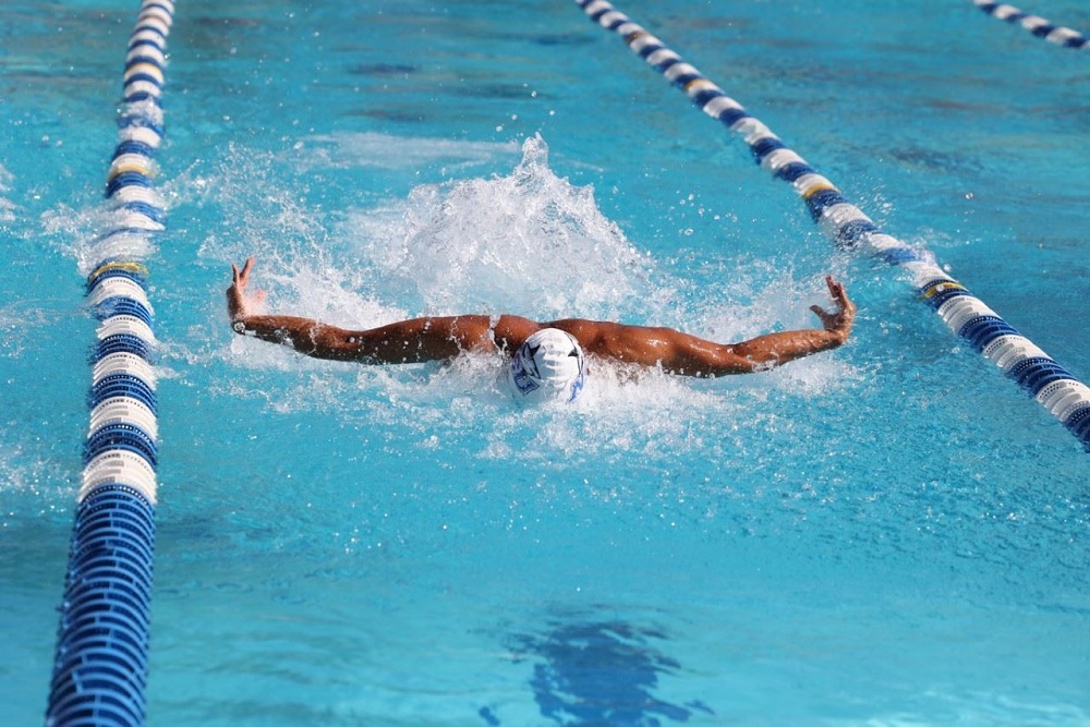 Sharks Swimming Earns SSC Dual Win over Lynn