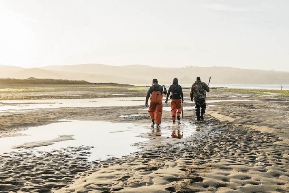 California shellfish farmers need greater flexibility to face climate change, OSU study finds