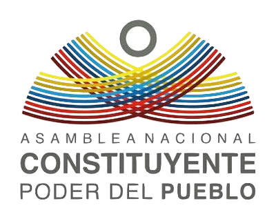 2017 Constituent National Assembly
