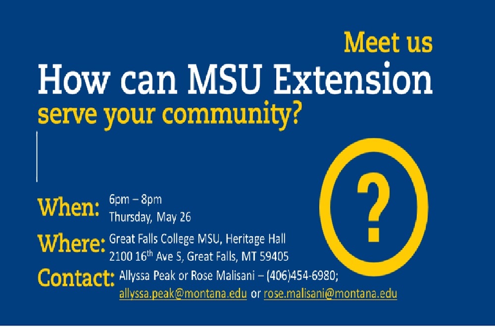 MSU Extension: Community Listening Session