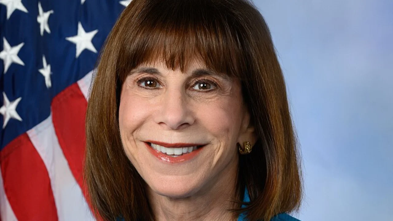 Kathy Manning addresses gerrymandering and veteran support initiatives