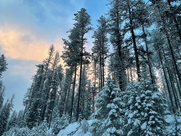 The WBR Winter Season is Wrapping Up Soon