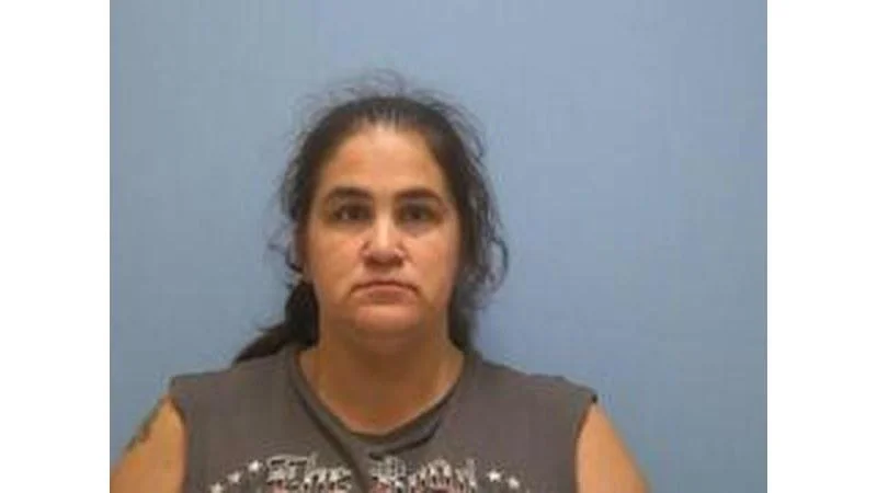 4 bookings reported in public order category in Mississippi County for week ending Aug. 9