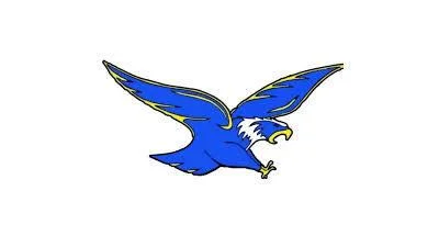 Central Woodstock Falcons drop close 17-16 contest to Spotswood Trailblazers